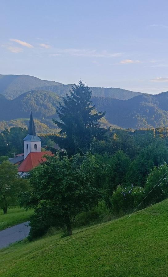 Apartmaji Borstner Vransko Exterior photo