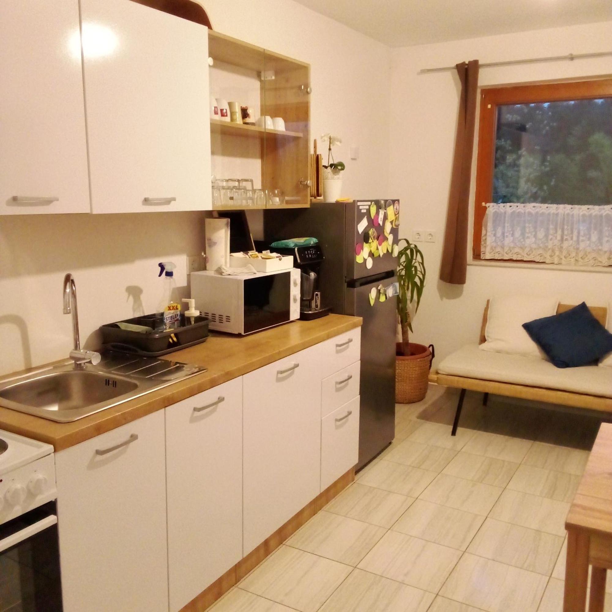 Apartmaji Borstner Vransko Exterior photo